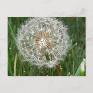 Cartão Postal Queria que você estivesse aqui