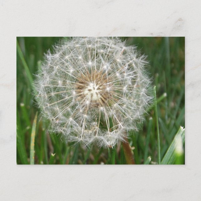 Cartão Postal Queria que você estivesse aqui (Frente)