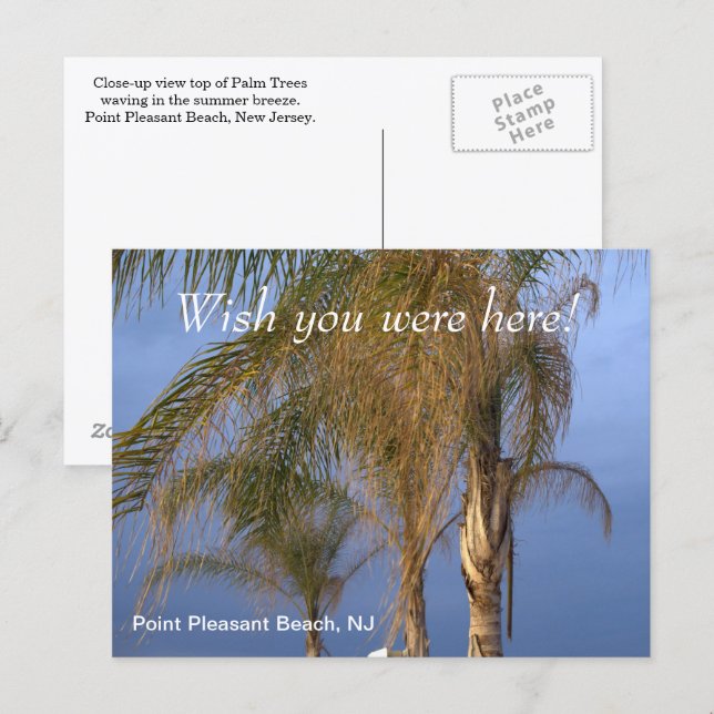 Cartão Postal Queria que você estivesse aqui em Point Pleasant B (Frente/Verso)