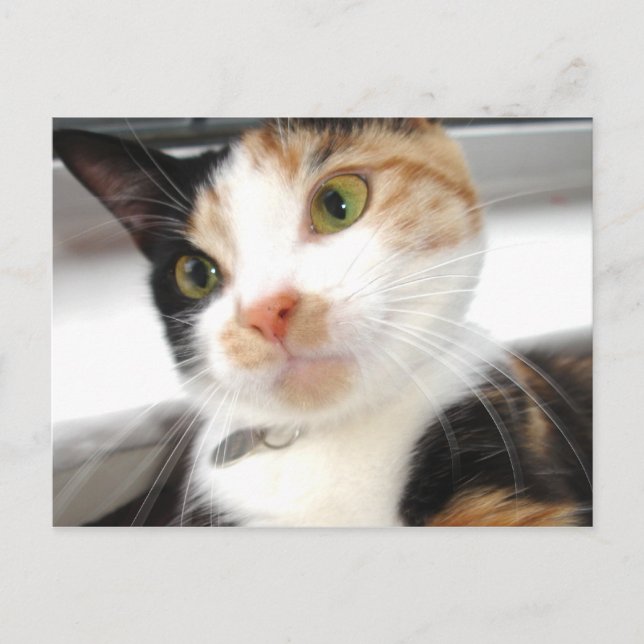 Cartão Postal Querida (Frente)