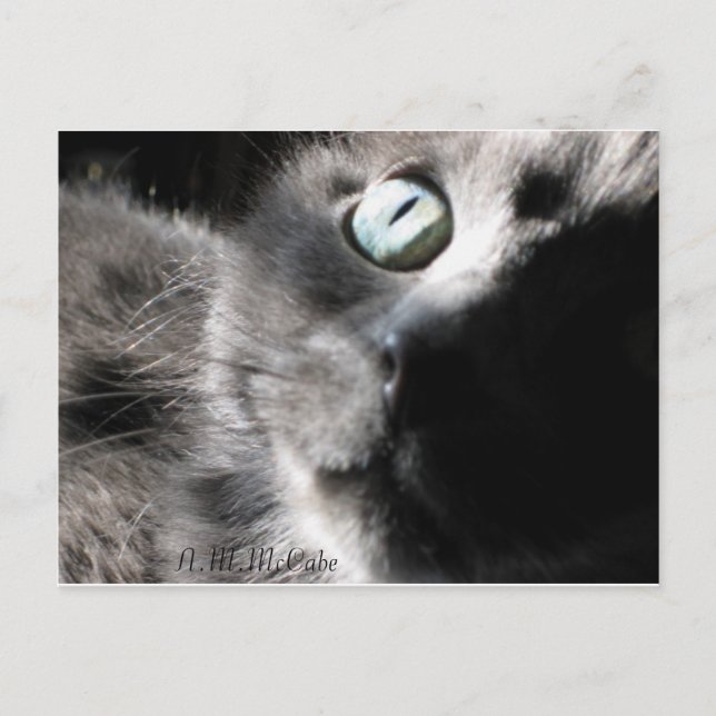 Cartão Postal "Querida" (Frente)