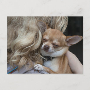 Cartão Postal Querido