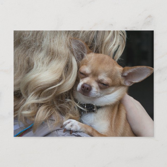 Cartão Postal Querido (Frente)