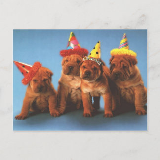 Cartão Postal Querido Cachorro, Fotos de Filhotes Cartões, Prese