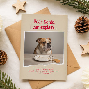Cartão Postal Querido Papai Noel Posso Explicar Foto do Cachorro