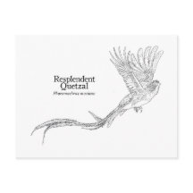 Quetzal Resplandecente