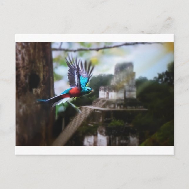 Cartão Postal Quetzel em Tikal (Frente)