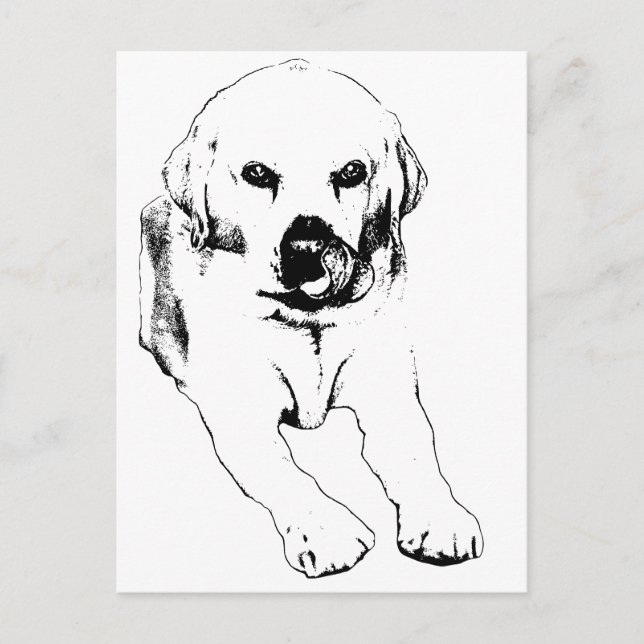 Cartão Postal Quick hello from a Lab (Frente)