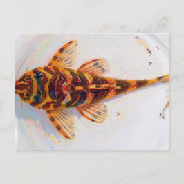 Cartão Postal rã leopardo L134 pleco