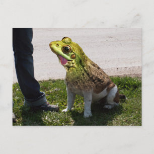 Cartão Postal Rã-touro inglesa