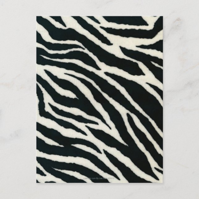 Cartão Postal RAB Rockabilly Zebra Imprime Preto e Branco (Frente)