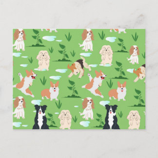 Cartão Postal Rabiscos de Cachorro