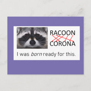 Cartão Postal Raccoon Anagram Corona tem 19 dias de máscara
