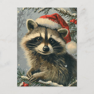 Cartão Postal Raccoon Christmas