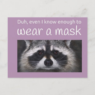 Cartão Postal Raccoon Covid pede a máscara de Funnycomb