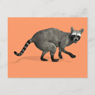 Cartão Postal Raccoon surpreso