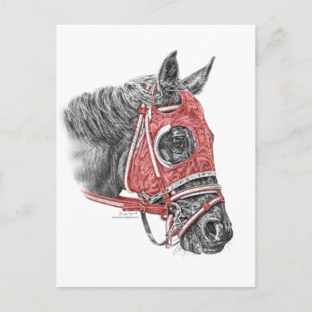 Cartão Postal Race Horse Portrait Silks (Frente)