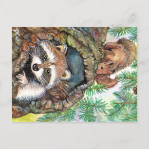 Cartão Postal Racoon No Buraco Da Árvore Com Esquilo