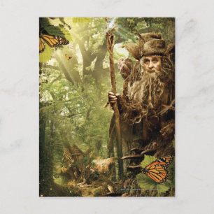 Cartão Postal RADAGAST™ em Floresta