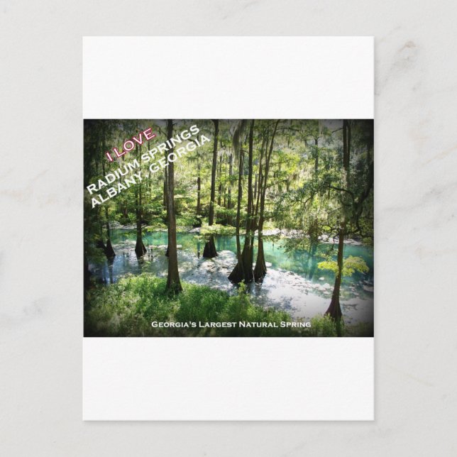 Cartão Postal RADIUM PRIMAVERAS - Albany, Geórgia (Frente)