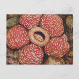 Cartão Postal Rafflesia De Borneo Watercolor Art