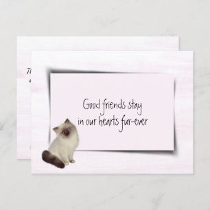 Cartão Postal Rag Doll Cat Pet Sympathy