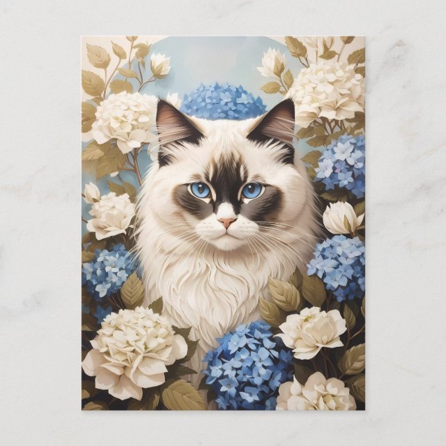 Cartão Postal Ragdoll Cat Com Flores De Hydrangea Azuis (Frente)