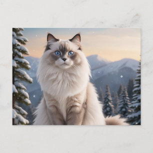 Cartão Postal Ragdoll Cat na Montanha Snowy com Serene Winter