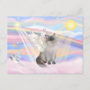 Cartão Postal Ragdoll Cat (Ponto Azul) Angel - Nuvens