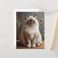 Ragdoll Gato Retrato Fluffy Blue Eyed