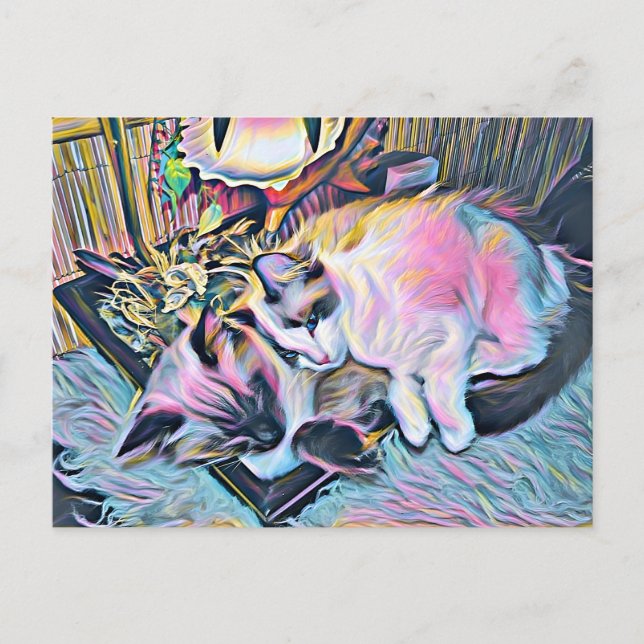 Cartão Postal Ragdoll Kittens (Frente)