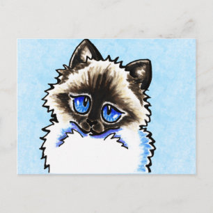 Cartão Postal Ragdoll Ragamuffin Ilustrado