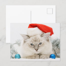 Cartão Postal Ragdoll Vestindo Santa Hat