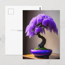 Rain Purple Wisteria Bonsai, Pós-cruzamento