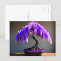 Rain Purple Wisteria Bonsai, Pós-cruzamento