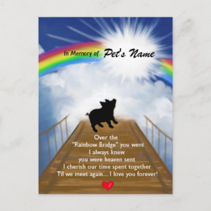 Cartão Postal Rainbow Bridge Memorial Poem for Pigs