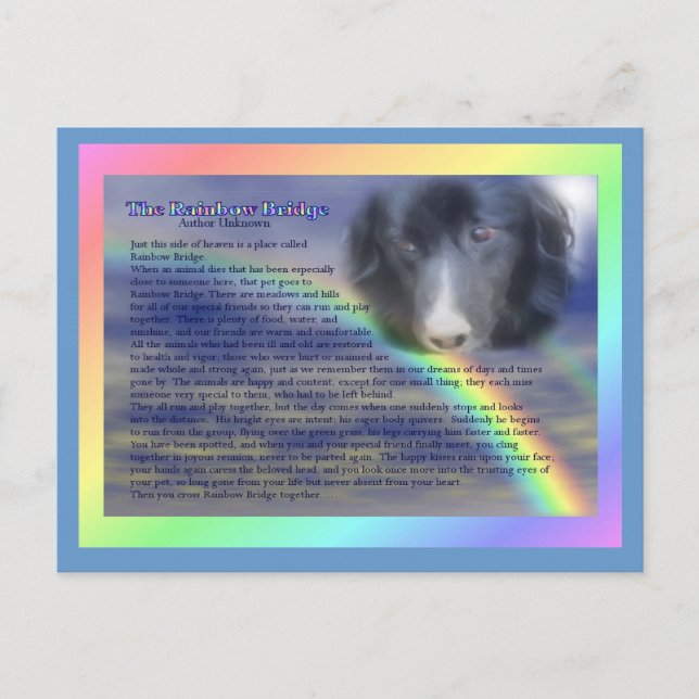 Cartão Postal Rainbow Bridge Poem Pet Loss Simpatia (Frente)