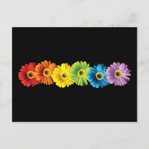 Cartão Postal Rainbow Daisies