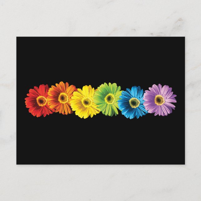 Cartão Postal Rainbow Daisies (Frente)