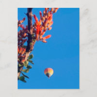 Rainbow Hot Air Balloon Novo México