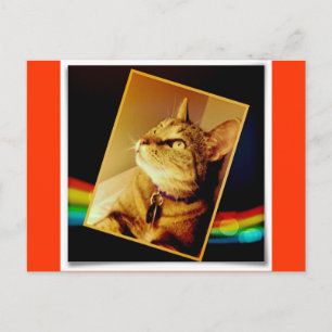 Cartão Postal Rainbow Indigo