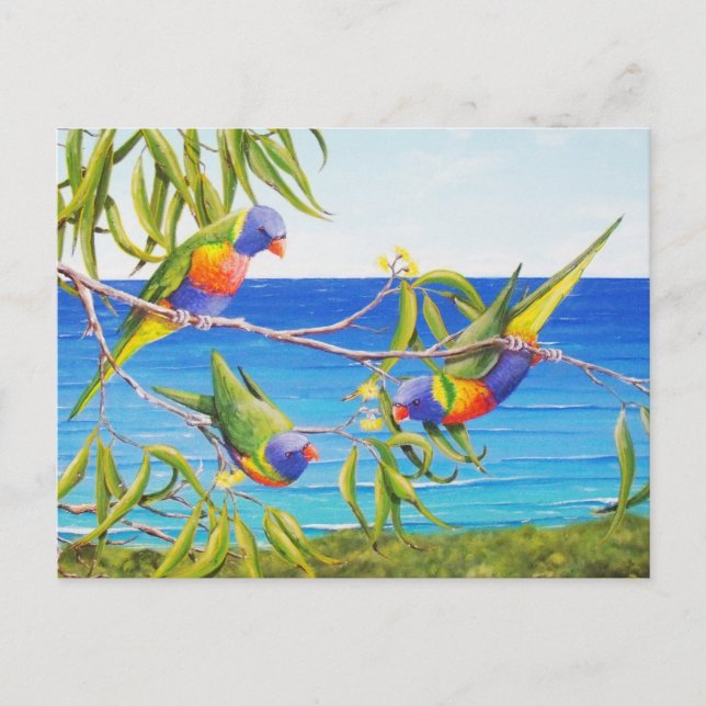Cartão Postal Rainbow Lorikeet Birds Blue australiano Painting (Frente)