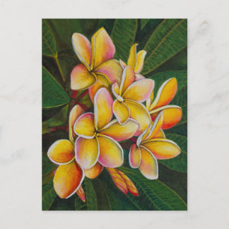 Cartão Postal Rainbow Plumeria