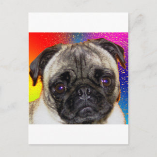 Cartão Postal Rainbow Pug