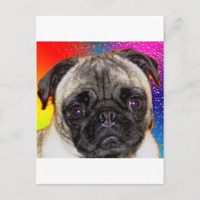 Cartão Postal Rainbow Pug (Frente)