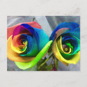 Cartão Postal Rainbow roses postcard
