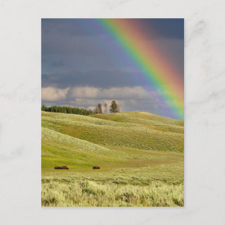 Cartão Postal Rainbow Skies Office Personalizar Destino