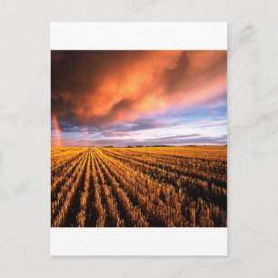 Cartão Postal Rainbow Stubble Field Saskatchewan Canadá