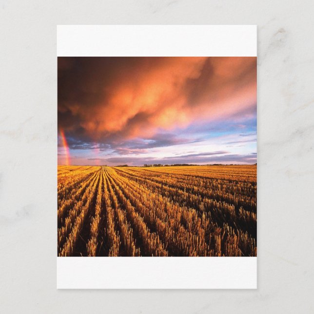 Cartão Postal Rainbow Stubble Field Saskatchewan Canadá (Frente)