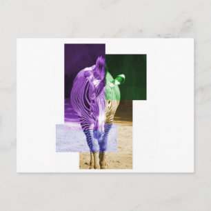 Cartão Postal Rainbow Zebra